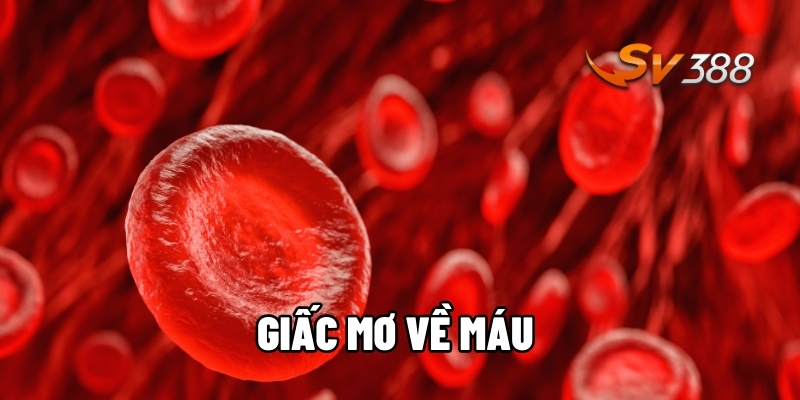 Giấc mơ về máu