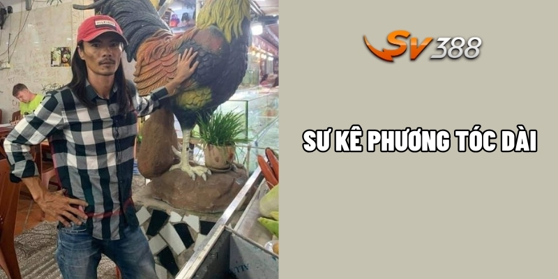 Quy mô chiến kê vang danh, mang đến chiến thắng lớn